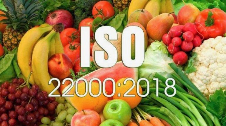 ISO 22000 Belgesi Nasıl Alınır? – Adım Adım Kılavuz