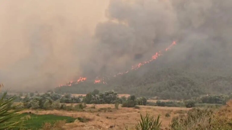 Bilecik orman yangını 5. gününde: Karayolu çift yönlü trafiğe kapatıldı! – Son Dakika Türkiye Haberleri