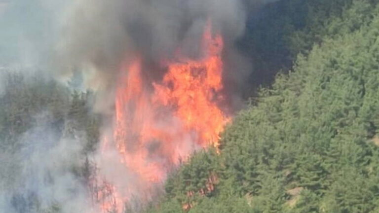 Bursa Büyükşehir Belediyesi’nden orman yangınlarına ilişkin açıklama: ‘4 ayrı noktada alevler şiddetini tekrar artırdı’ – Son Dakika Türkiye Haberleri